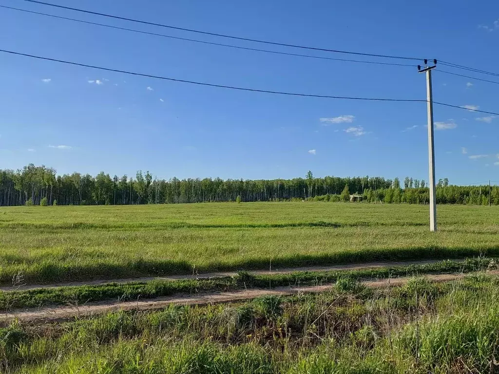 Участок в Челябинская область, Сосновский район, Кременкульское с/пос, ... - Фото 1