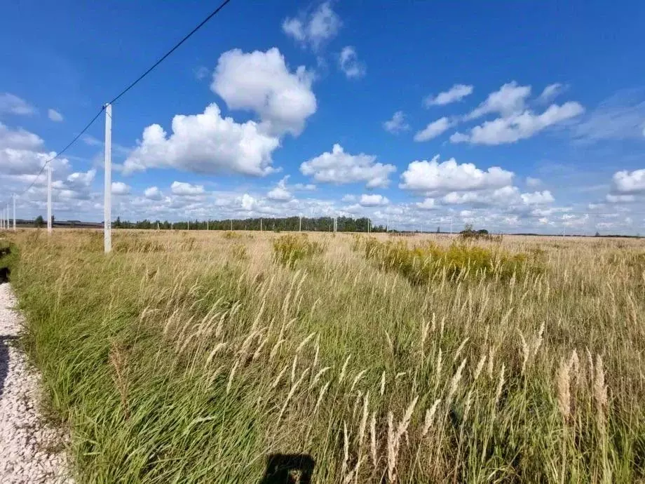 Участок в Рязанская область, Рязанский район, Мурминское с/пос, с. ... - Фото 1