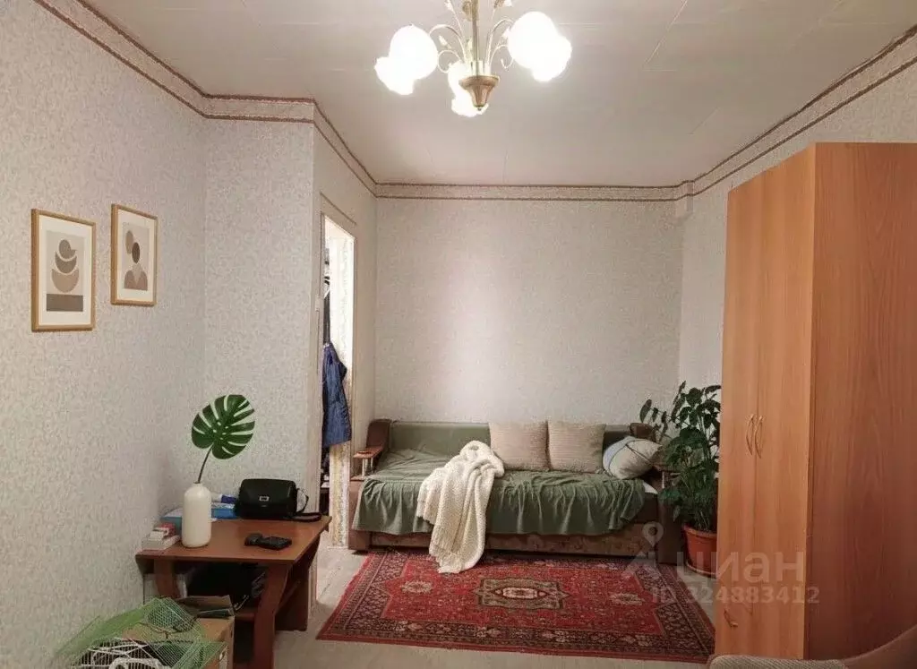 1-к кв. Амурская область, с. Константиновка ул. Коммунальная, 13 (33.9 ... - Фото 1