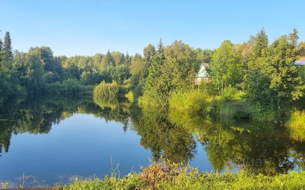 Участок в Удмуртия, Завьяловский район, Мирный СНТ 616 (6.4 сот.) - Фото 2