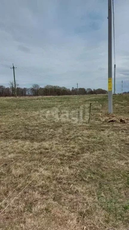 Участок в Калининградская область, Калининград Тихоокеанский пер. ... - Фото 2
