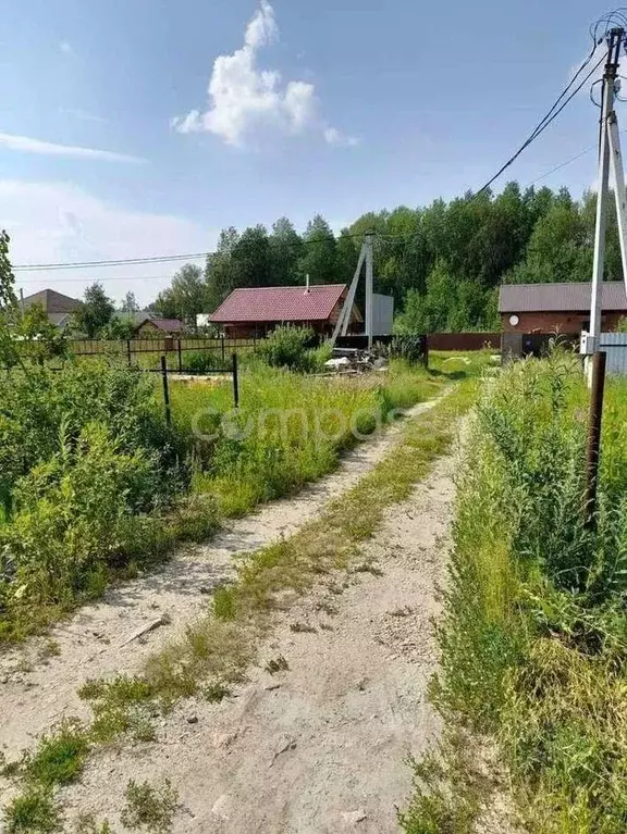 Участок в Тюменская область, Тюменский район, д. Ушакова ул. ... - Фото 1