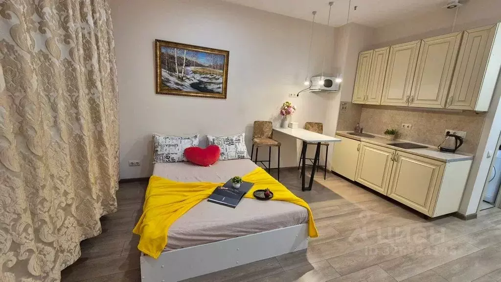 Студия Москва Березовая аллея, 19к4 (25.0 м) - Фото 1