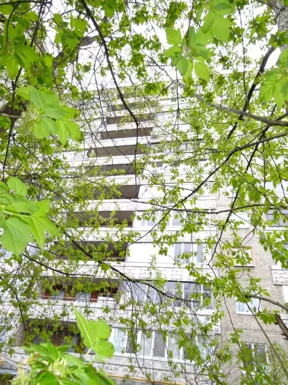 2-к кв. Свердловская область, Екатеринбург ул. Большакова, 17 (47.6 м) - Фото 0