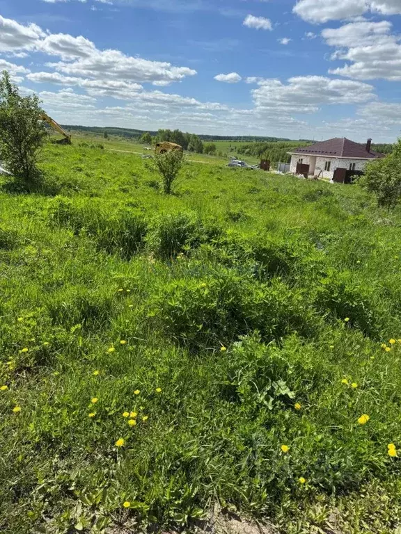 Участок в Нижегородская область, Нижний Новгород с. Большое Мокрое, ... - Фото 0