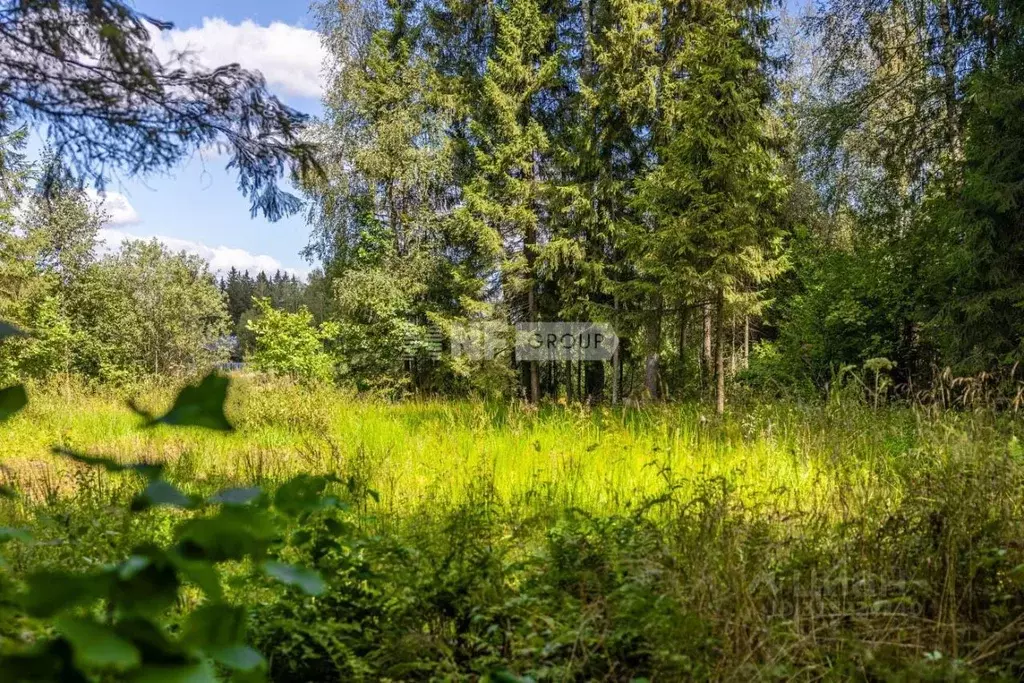 Участок в Московская область, Одинцовский городской округ, с. Лайково, ... - Фото 0