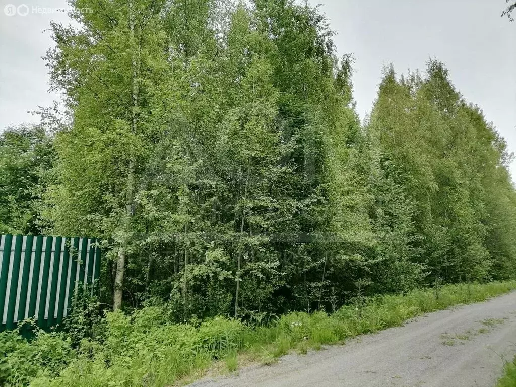 Участок в Ларионовское сельское поселение, садоводческое ... - Фото 0