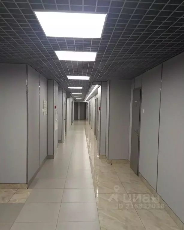 Офис в Красноярский край, Красноярск ул. Алексеева, 49 (154 м) - Фото 2