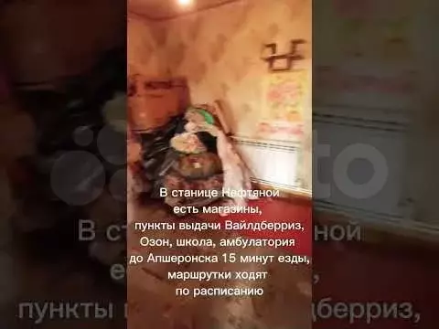 Дом 42,7 м на участке 15,6 сот. - Фото 1