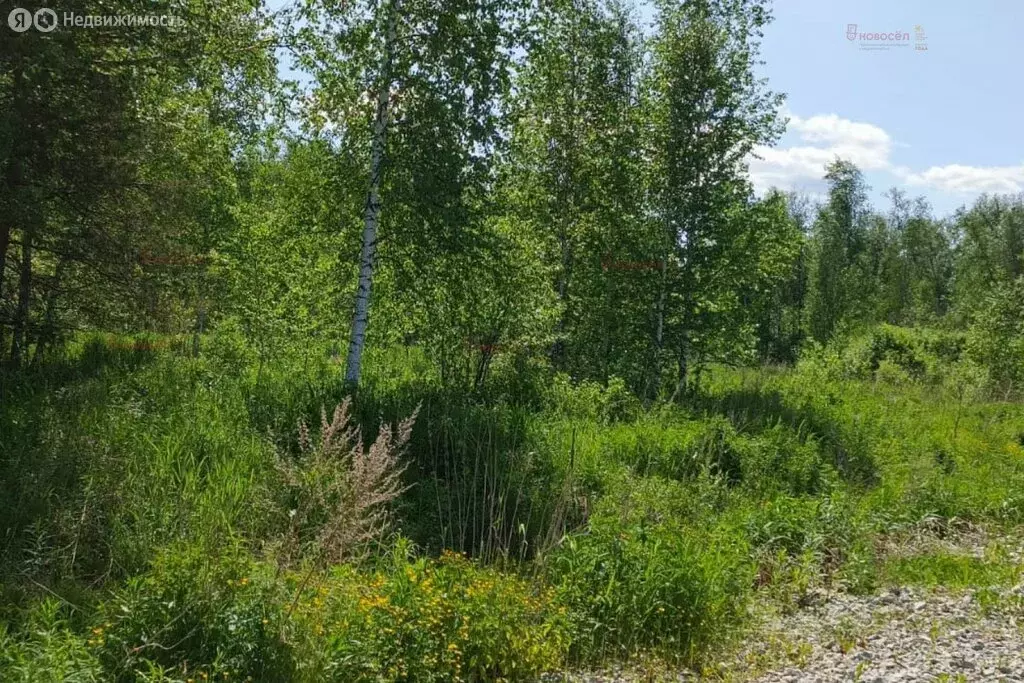 Участок в село Мостовское, Еловая улица, 12 (16 м) - Фото 1