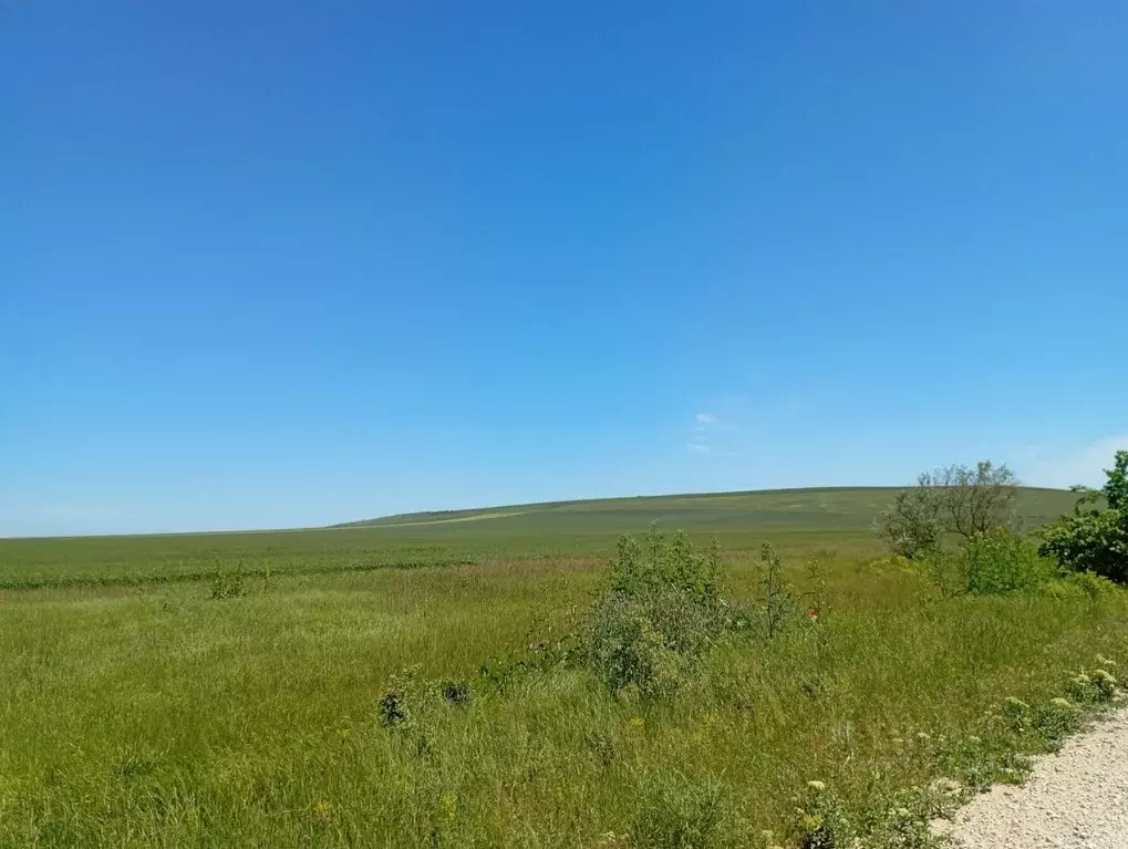 Участок в Крым, Ленинский район, Заветненское с/пос  (16.0 га.) - Фото 2