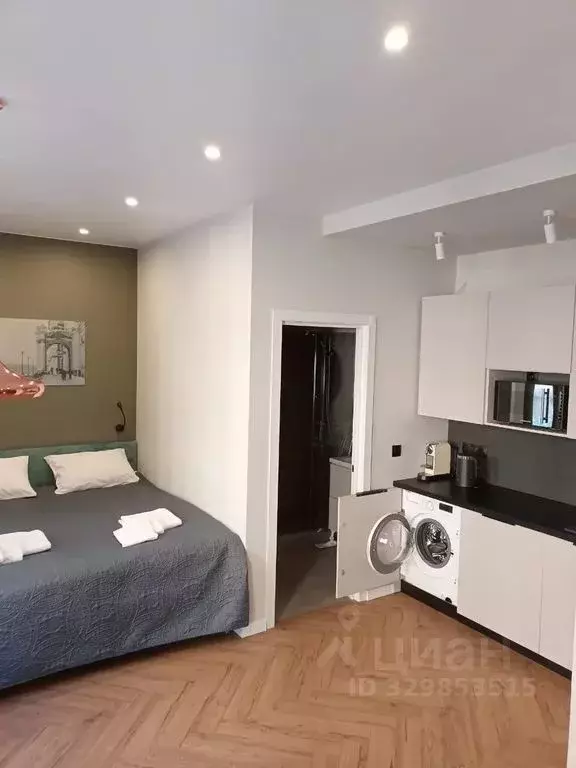 Студия Санкт-Петербург Дмитровский пер., 17 (25.0 м) - Фото 1