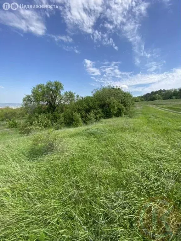 Участок в Симферопольский район, село Чистенькое (15 м) - Фото 0