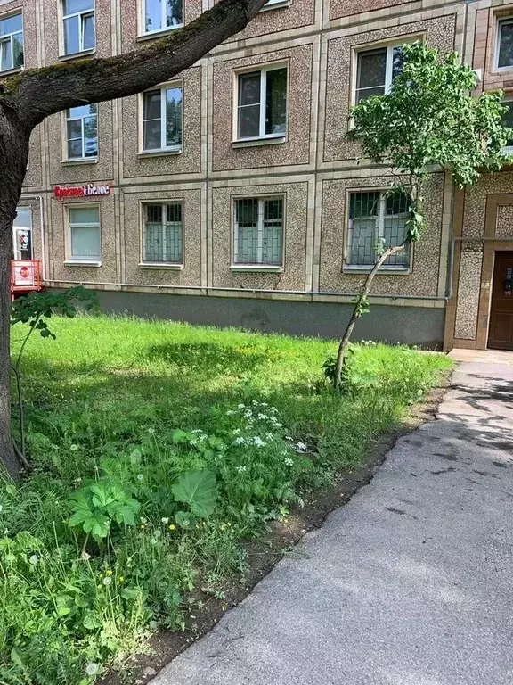 3-к кв. Санкт-Петербург просп. Елизарова, 24 (74.0 м) - Фото 1