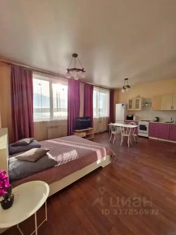 Студия Иркутская область, Иркутск наб. Верхняя, 145/5 (45.0 м) - Фото 1