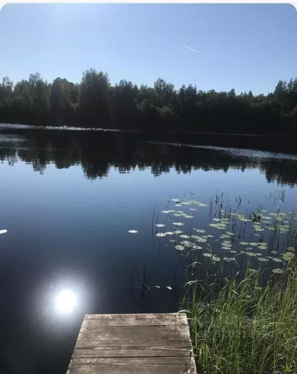 Дом в Новгородская область, Хвойнинский муниципальный округ, д. ... - Фото 1