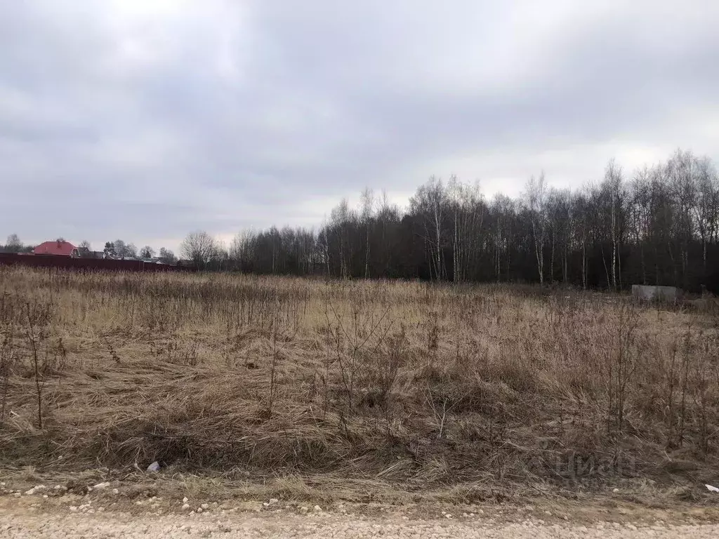 Участок в Московская область, Орехово-Зуевский городской округ, д. ... - Фото 0
