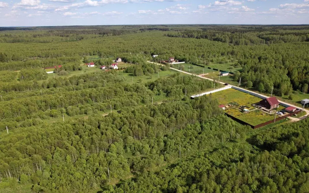 Участок в Московская область, Можайский городской округ, Лесные ... - Фото 1