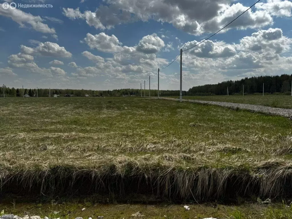 Участок в Московская область, Дмитровский муниципальный округ, дачный ... - Фото 1
