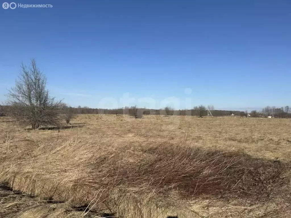 Участок в Калининградская область, Гурьевский муниципальный округ, ... - Фото 1