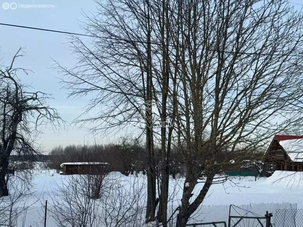 Участок в Московская область, городской округ Пушкинский, деревня ... - Фото 1