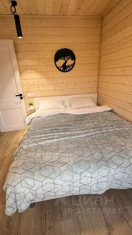 Дом в Воронежская область, Рамонь рп  (70 м) - Фото 2