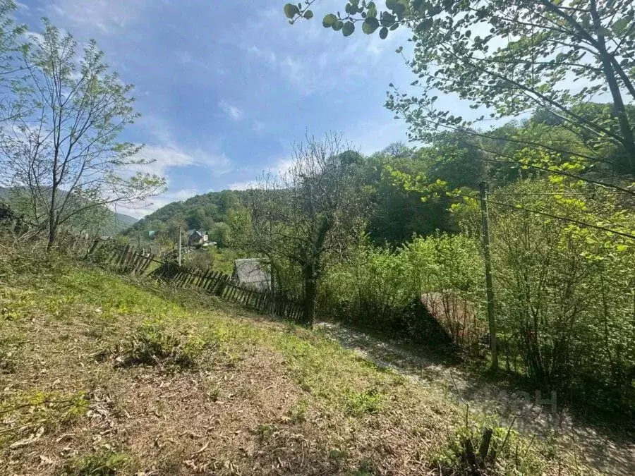 Участок в Краснодарский край, Сочи городской округ, с. Солохаул  (16.0 ... - Фото 2