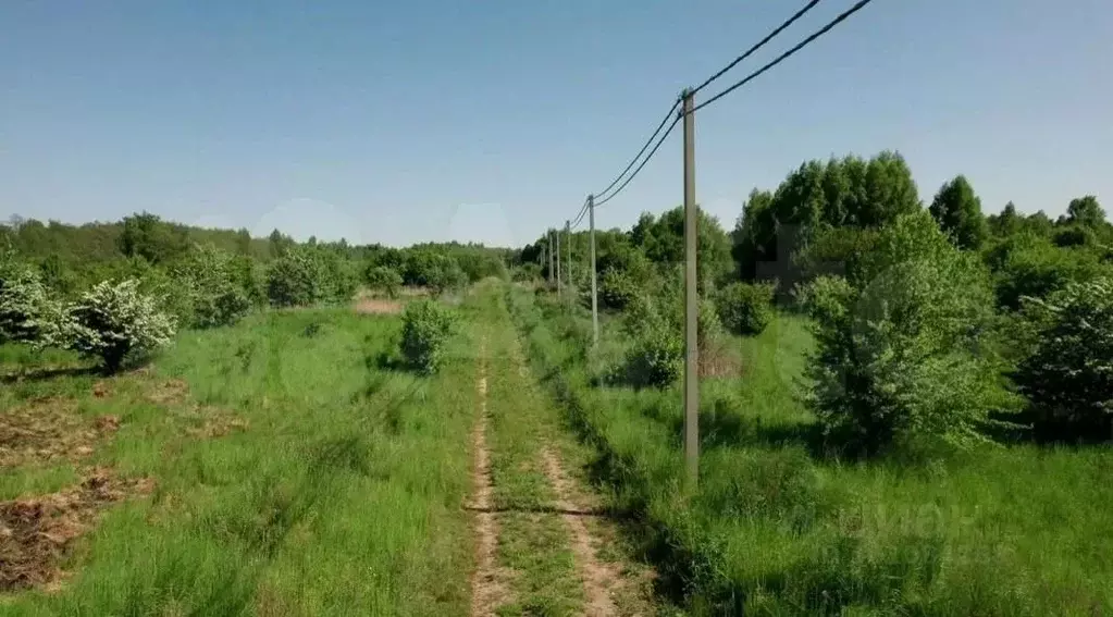Участок в Калининградская область, Ладушкин Первомайская ул. (6.0 ... - Фото 2
