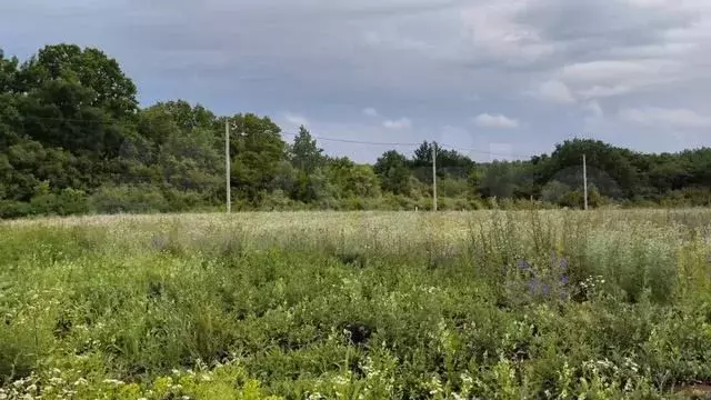 Участок 20 сот. (ИЖС) - Фото 1