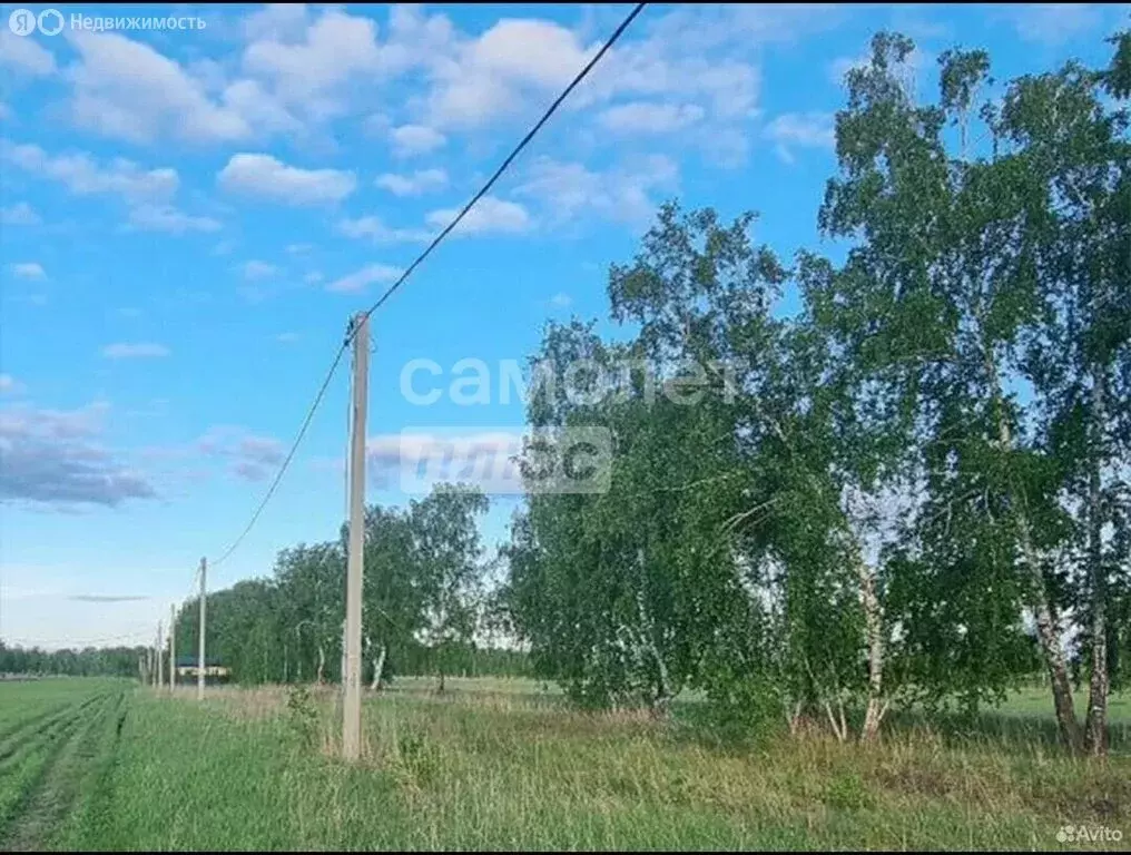 Участок в муниципальный округ Омский район, село Красная Горка (10 м) - Фото 2