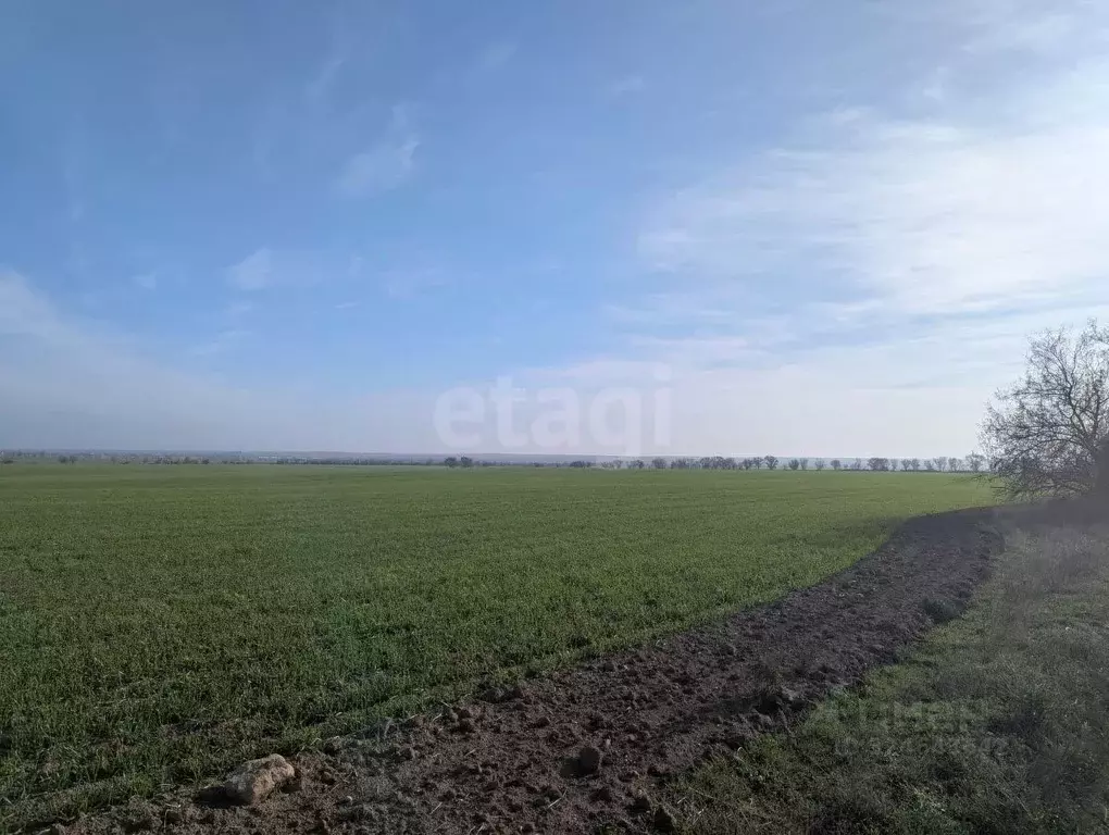 Участок в Крым, Черноморский район, с. Межводное ул. Джарылгачская ... - Фото 1