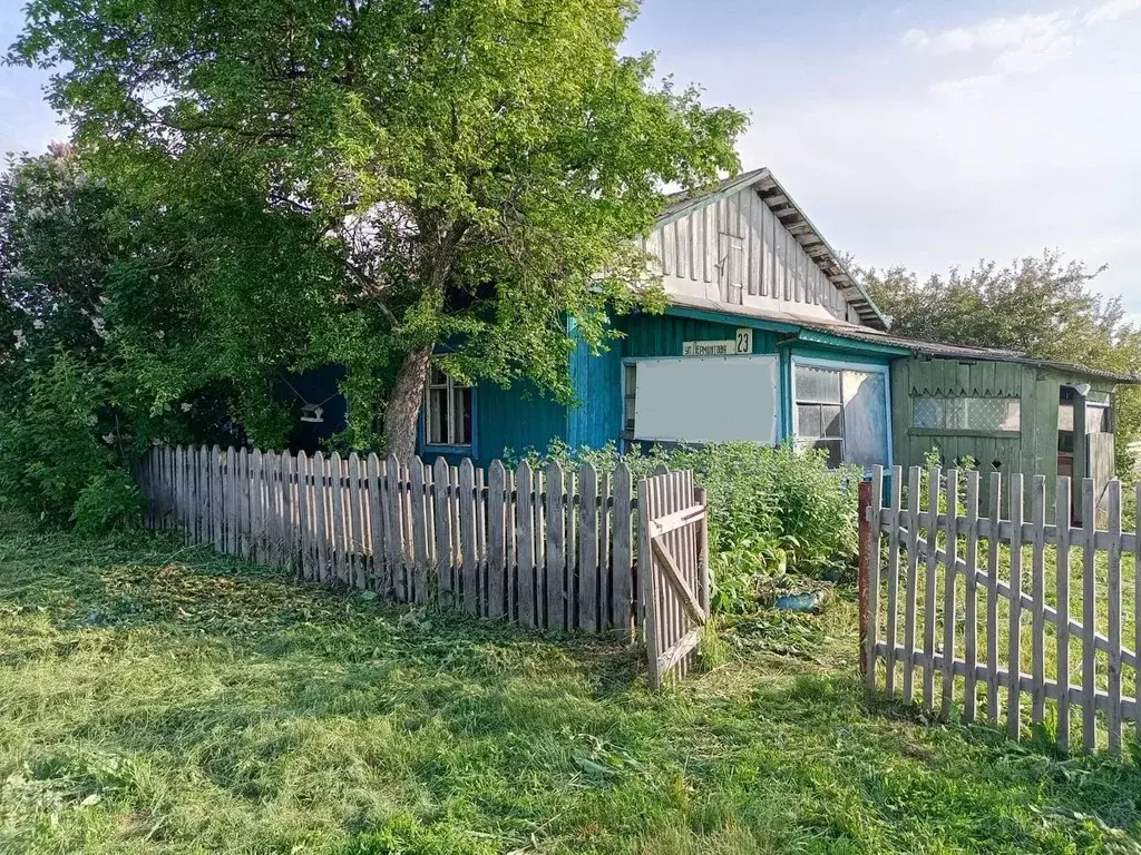 Дом в Новосибирская область, с. Кочки ул. Лермонтова, 23 (38 м) - Фото 0