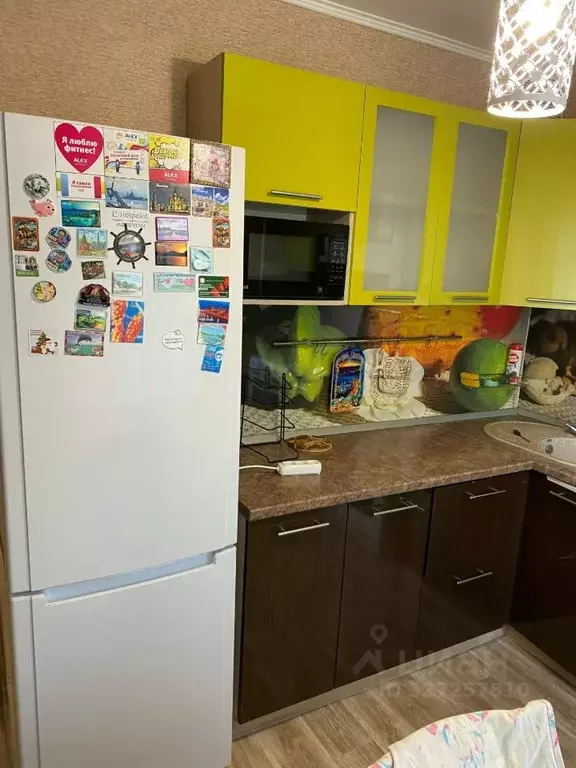 1-к кв. Пензенская область, Пенза Ладожская ул., 123 (35.0 м) - Фото 2