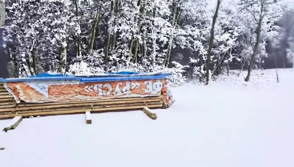Участок в Камчатский край, Елизовский муниципальный округ, с. ... - Фото 2