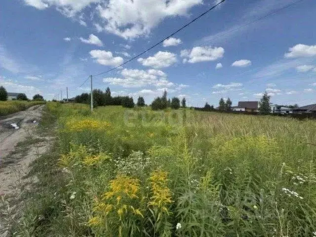 Участок в Брянская область, Брянский район, Добрунское с/пос, д. ... - Фото 1