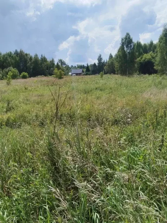 Участок в Московская область, Егорьевск муниципальный округ, д. Кочема ... - Фото 0