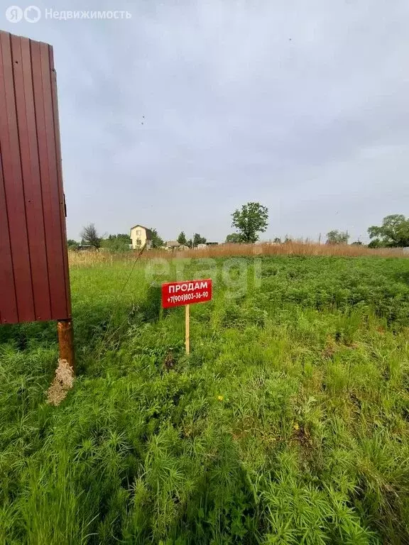 Участок в Хабаровский район, садоводческое некоммерческое товарищество ... - Фото 1