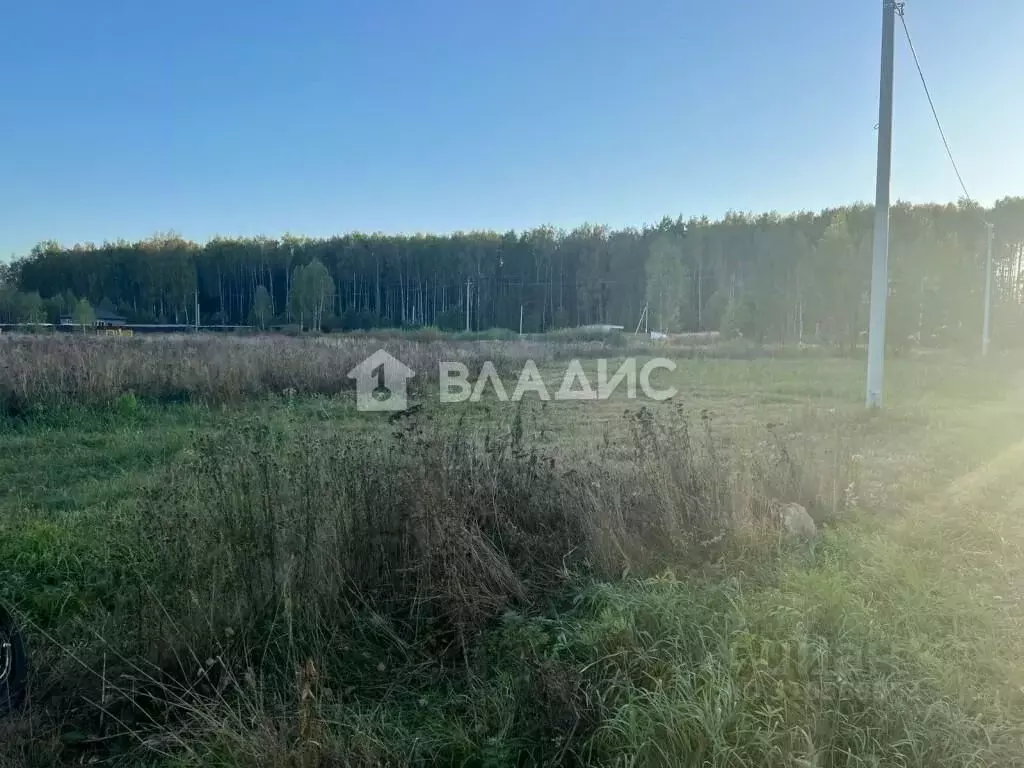 Участок в Владимирская область, Судогодский район, Лавровское ... - Фото 1