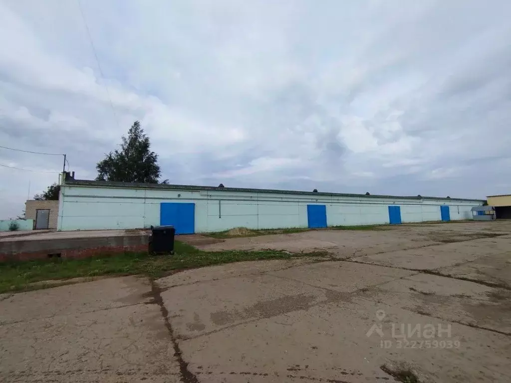 Производственное помещение в Татарстан, Елабуга Окружное ш., 5 (1600 ... - Фото 2