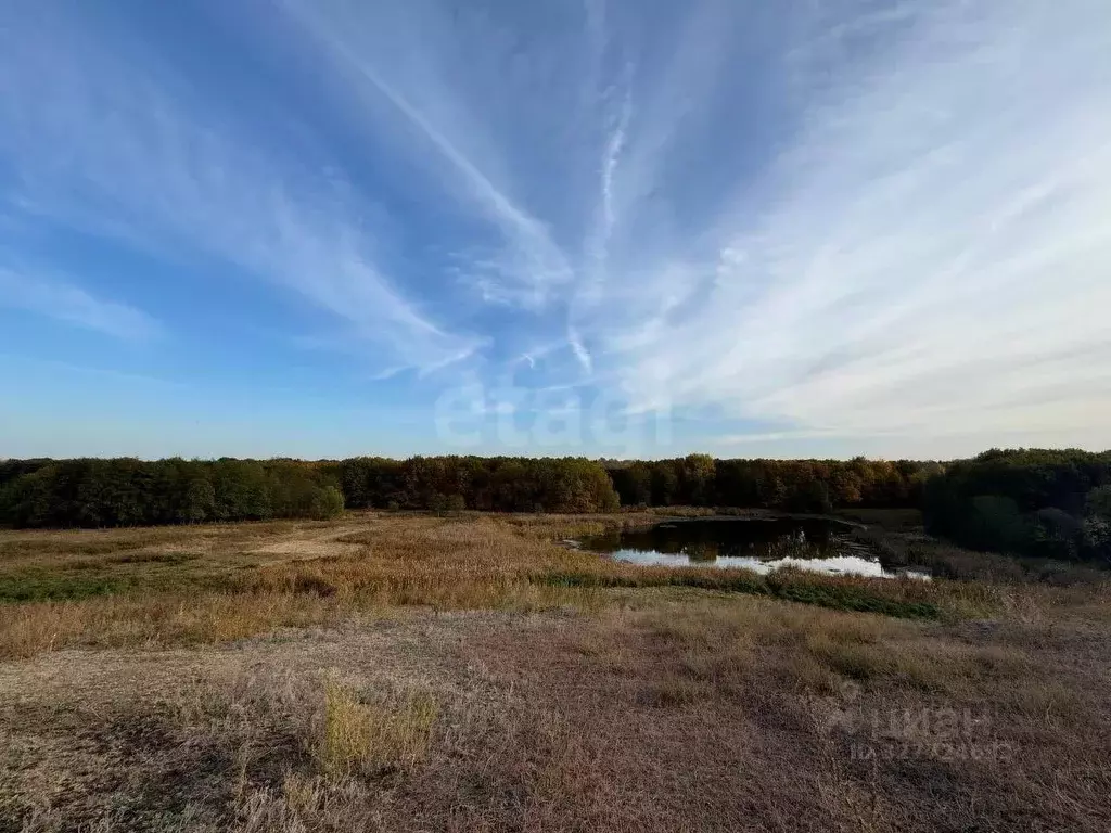 Участок в Саратовская область, Балашовский район, с. Репное  (10.0 ... - Фото 1