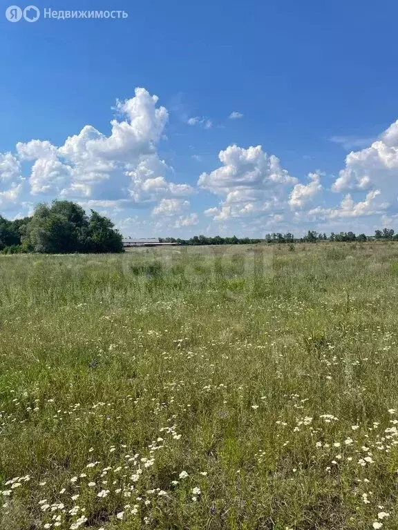 Участок в село Каплино, коттеджный посёлок Рублёво (11 м) - Фото 1