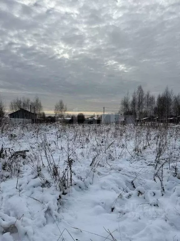 Участок в Московская область, Дмитровский городской округ, Афанасово ... - Фото 0