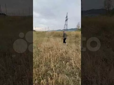 Участок 8 сот. (ИЖС) - Фото 1