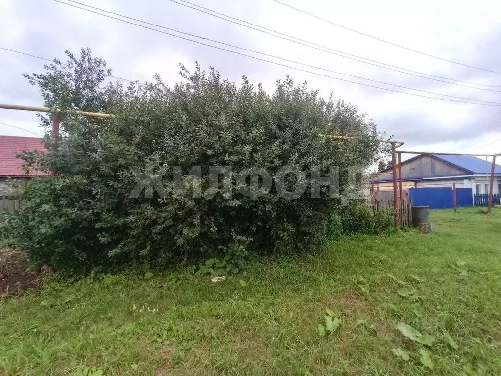Дом в Новосибирская область, Колывань рп ул. Калинина (32 м) - Фото 1