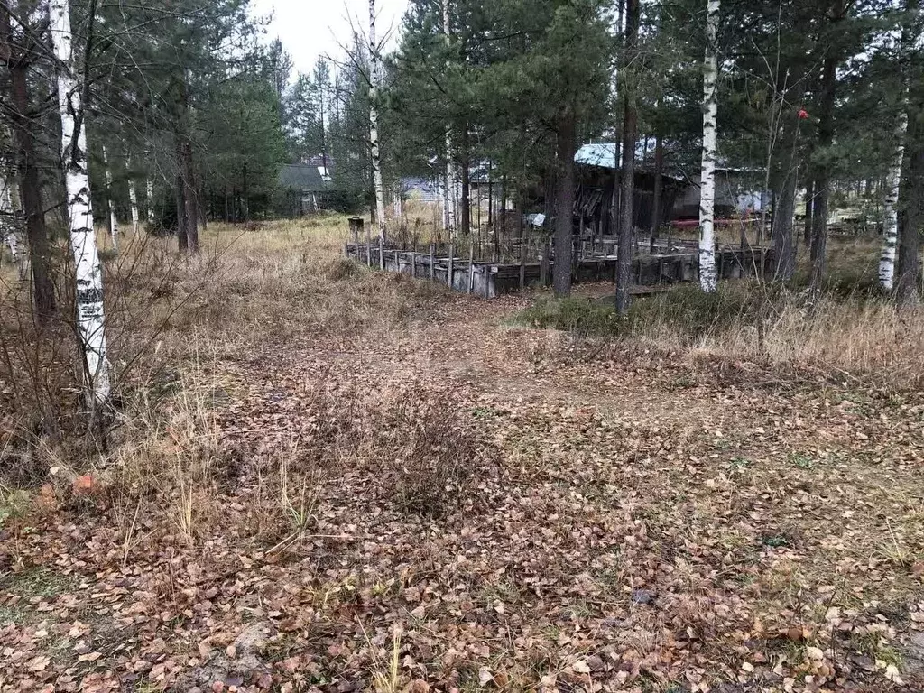Участок в Коми, Сыктывдинский район, Выльгорт муниципальное ... - Фото 1