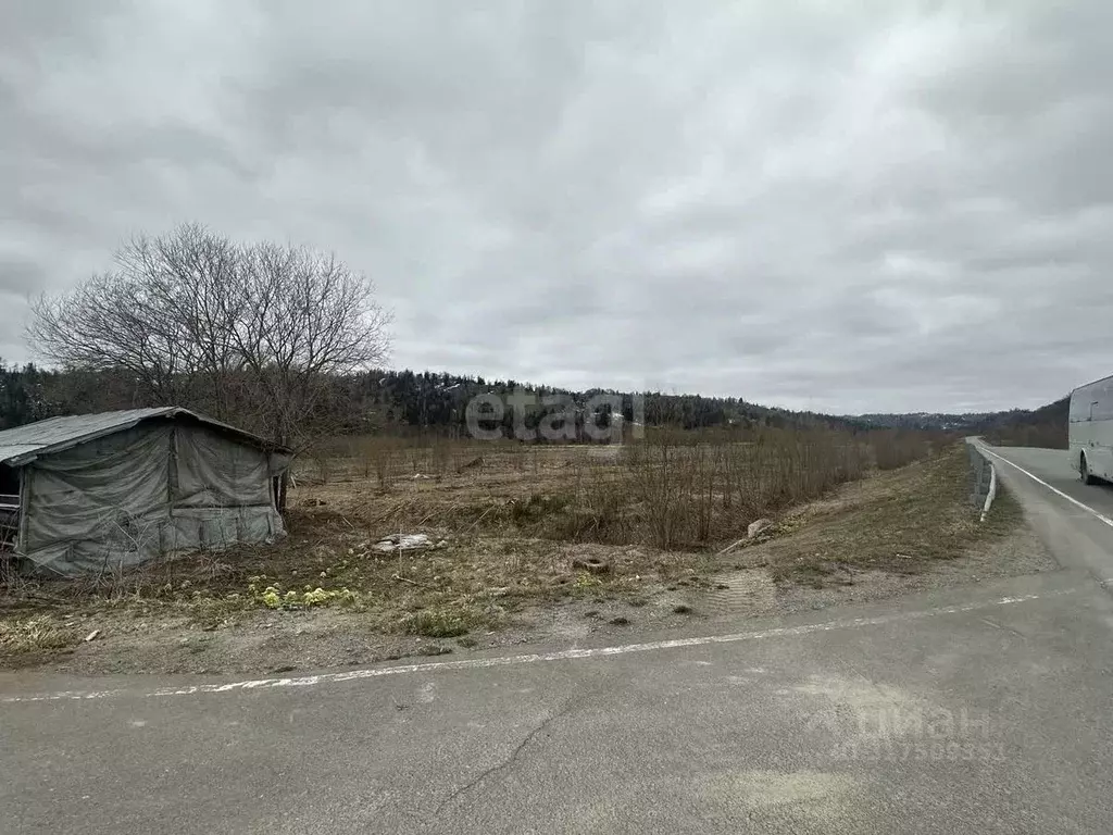 Участок в Сахалинская область, Анивский городской округ, с. Огоньки  ... - Фото 0