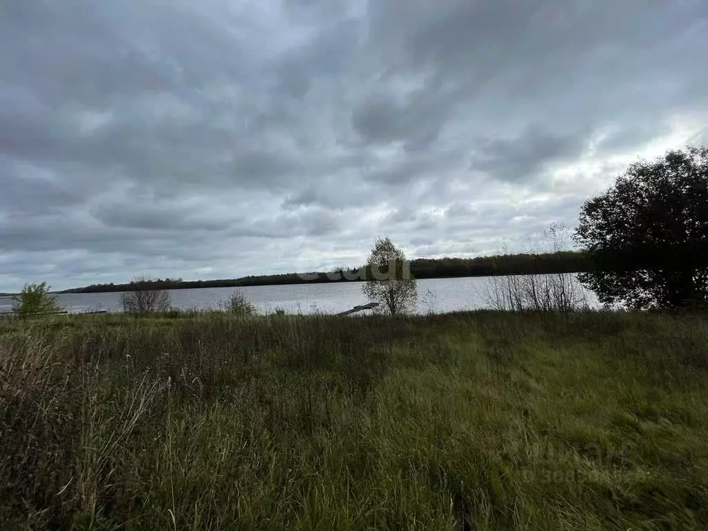 Участок в Вологодская область, Шекснинский район, Ершовское с/пос, д. ... - Фото 1