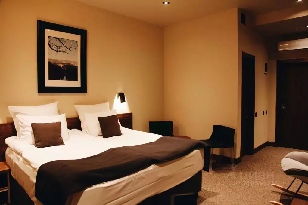 Комната Москва Бауманская ул., 58/3С5 (28.0 м) - Фото 1