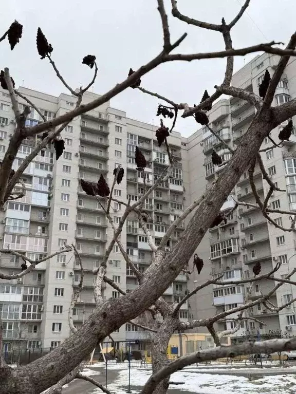 1-к кв. Волгоградская область, Волгоград Высокая ул., 18А (39.7 м) - Фото 2