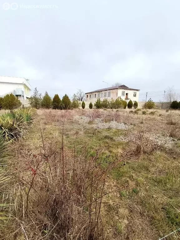 Участок в Литвиненково, Житомирская улица (5.43 м) - Фото 2